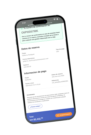 phone-banner-payment